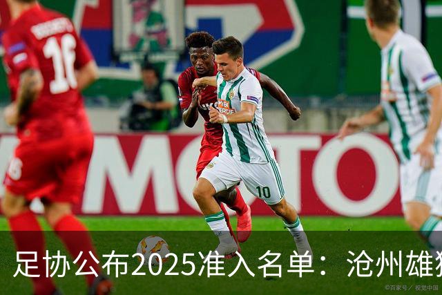 足协公布2025准入名单：沧州雄狮、广州队无缘